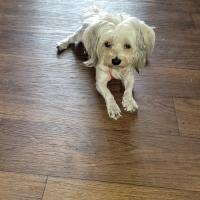 Alice Mae