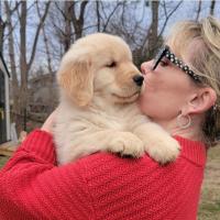 Tonya Noel