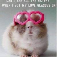 Ms Williams