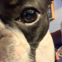 Beverly Causer