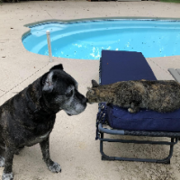 Laurie Sharkey