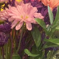 Ashley Malone