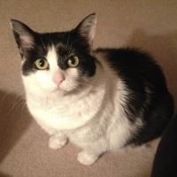 Rebecca Kirkman