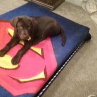 Judith Menagh