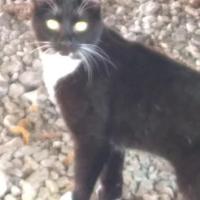 Beth Prewitt