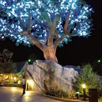 Carol Franklin