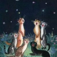 Donna Hajos