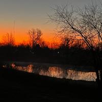 Lynnae Haveman