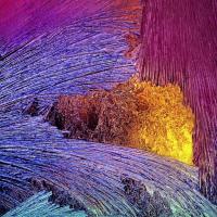 Cathy