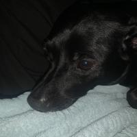 Kolette Kuhn