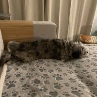 Greta Paola Gallone