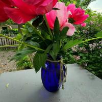 Cheryl Machak
