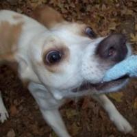Kathy