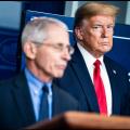 Stacie welken