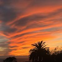 Shauna