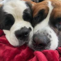September Sucher