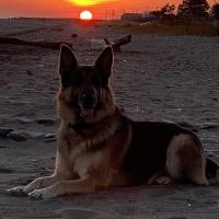 LEE KIERNAN