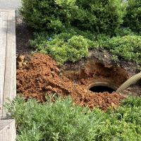 William Allen