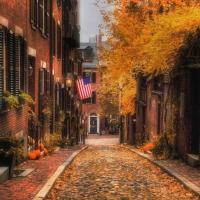 Deb Young