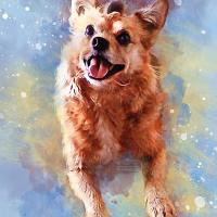 Lisa M Ellison