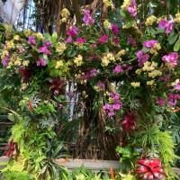 Marcy Va
