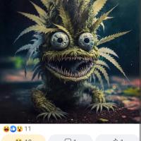 Jennifer Price Harper