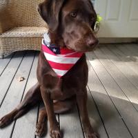 Joanne Martins