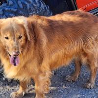 Badger Drew