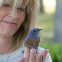 Jill Satterfield
