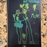 Kaari Kittell