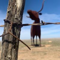 Kristen Scott