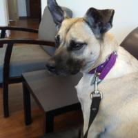 Kathleen Pereira