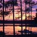Vonda Sullivan