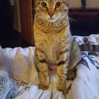 Dawn