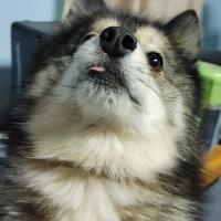 Traci ONeil