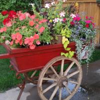 Janet Snapp