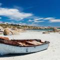 Jacqueline McGuire
