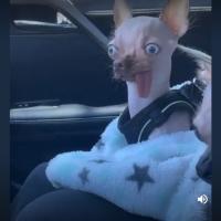 Rick Bunt