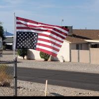 Dee Wilk