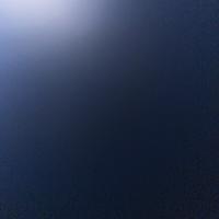 Connie Pavey