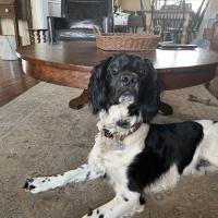 Krista Hanson