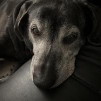 Tammy Ames