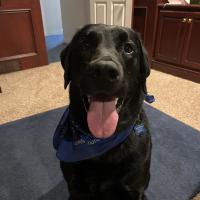 Julie Sanderson