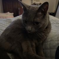 Deanna Causby
