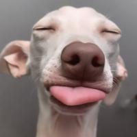 JIM KOPP