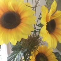 Judy Greider
