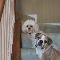 christie flerlage