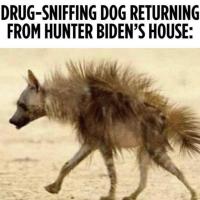 Darren Lupo