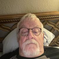 Terry Whalen