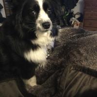 Wendy Muller